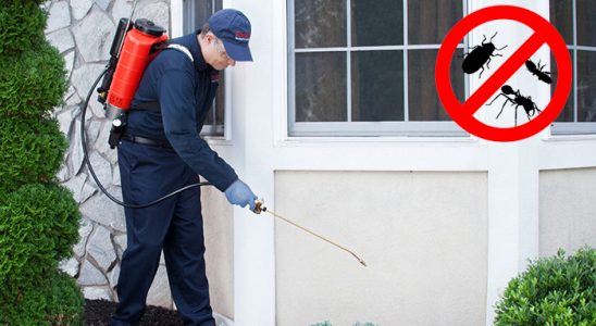 Yeşilhisar Kene İlaçlama böcek ilaçlama ve haşere kontrolü — ilaclama-tr.com